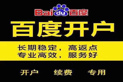 抖音信息流代理在电商行业的应用案例分析
